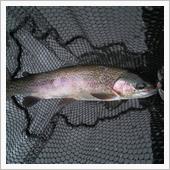 木金の釣り。