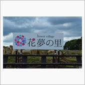 見頃はもう少し先？
