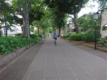 普通の休日を満喫