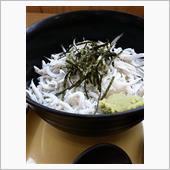 しらす丼