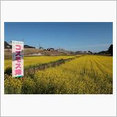 ２０２２年４月６日　茨城県小 ...