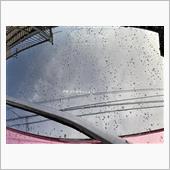 え？梅雨明け？
