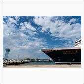 6月の写活