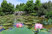 びわ湖の見所、水生植物園と琵琶湖博物館