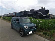 新潟県北東部の緑化ドライブ 新潟県北東部の緑化ドライブ