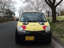 燃費が良く小回りがきく軽自動車です。