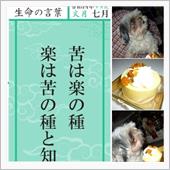 令和四年七月「生命の言葉」【 ...