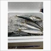 なにやら騒がしい∈( ⊙__ ...