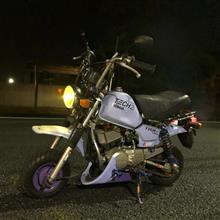 ポッケで深夜の徘徊