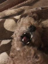 当たりますよーに😁