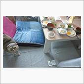 〔隔週〕先週、今週の朝食(3 ...