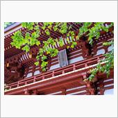 旅する「なら」Day2 ①  ...