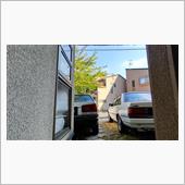 二手に別れて・・・↖️↗️13