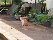 ゆるぎない欲望の勝利（秋の宮温泉郷　宝寿温泉）