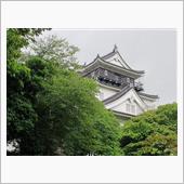 岡崎城に行ってきた。