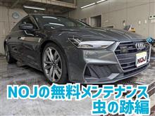 NOJの無料メンテナンス 〜虫の跡編〜 NOJの無料メンテナンス 〜虫の跡編〜