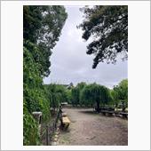 小雨の代