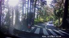 大所帯・・・スーパーカーツーリングは交通ルールを守るべき。 大所帯・・・スーパーカーツーリングは交通ルールを守るべき。
