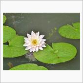一泊旅行、浜松～蓬莱～設楽へ。