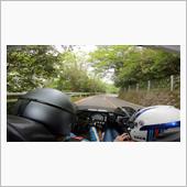梅雨なんだか夏なんだか、、、