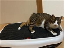 プレサージュ車検終わり！