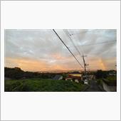 今日は七夕