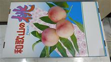和歌山から桃が届きました♪    #和歌山 #桃
