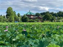 不忍池