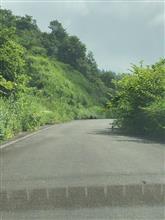 緑の猛威