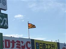 右翼に左翼　　　〜週末は野球三昧（観戦）