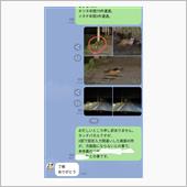 タッチパネル…急に仕事…高速 ...