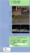 タッチパネル…急に仕事…高速道路で逃げる様に山へ、シカ