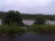 台風一過の大雨