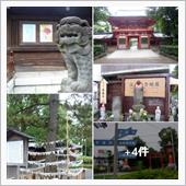 井草八幡宮　参拝と“枇杷”拾 ...