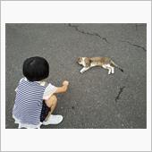 猫にビビる