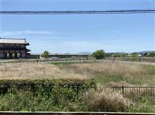 投票に行きました