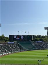 野球観戦と打ち上げ花火♪