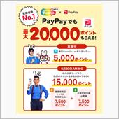 やるならpay payで‥