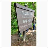 奥日光を学んできました。