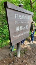 奥日光を学んできました。