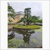 夏の奈良公園　1