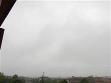 ７月１３日　グズグズな天気になりそうな水曜日、おはよ～♪ 