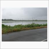 大雨の後、翌朝のこと。
