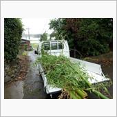 大雨の後、片付け編。