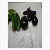 ＼(^o^)／夏野菜♥収〜穫 ...