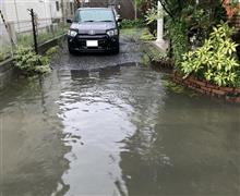 冠水 ふたたび