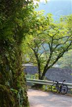 比較的・涼!!・・・な、山都~吉無田サイクリング 比較的・涼!!・・・な、山都~吉無田サイクリング