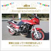 愛車と出会って11年！