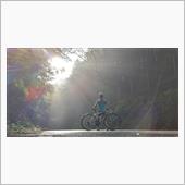 【自転車】日曜日朝の三坂峠