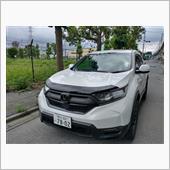 バグガード取付け